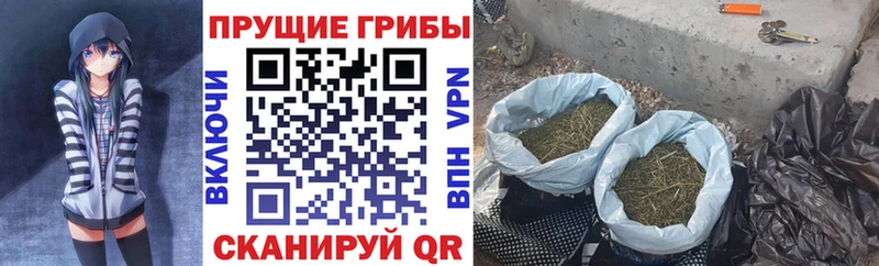 KRAKEN как зайти  продажа наркотиков  Володарск  Галлюциногенные грибы мухоморы 